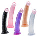 Jelly Dildo Suction Cup