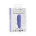 CalExotics Connect Panty Teaser Rechargeable Silicone App