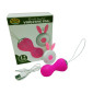 Remote Control Vibrating Egg